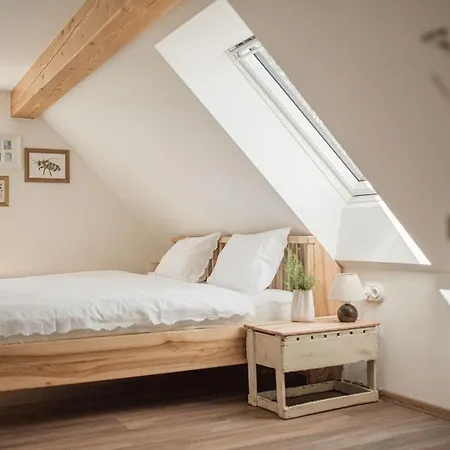 Сasa de vacaciones Bohdašín 17